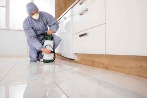 Protect Your Property: Expert Tips and Tricks for Pest Control in North Shore Homes