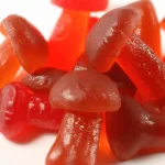 A Guide to Buying High-Quality Amanita Muscaria Gummies