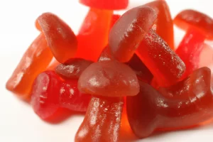 A Guide to Buying High-Quality Amanita Muscaria Gummies