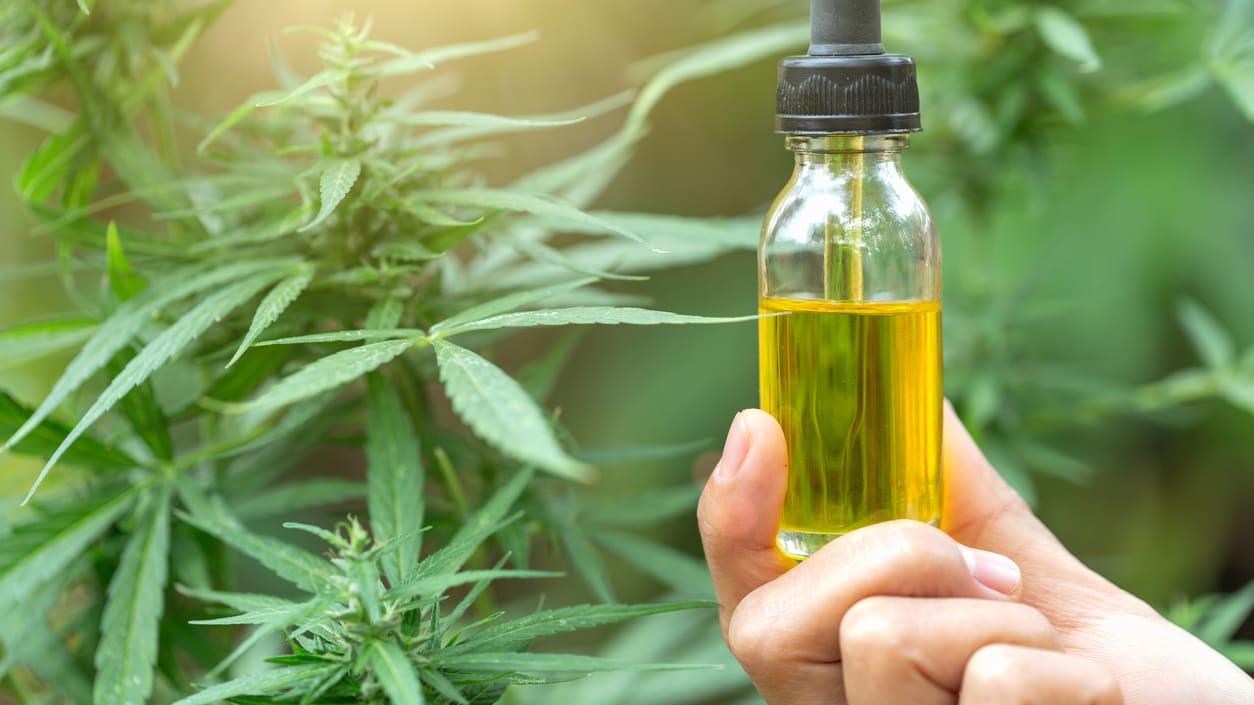 Best CBD Oil for Pain Canada