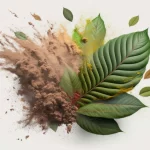 The Authority of Plants: Kratom Powder for Productivity and Positive Attitude