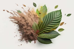 The Authority of Plants: Kratom Powder for Productivity and Positive Attitude